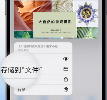 福安apple维修中心分享iPhone文件应用中存储和找到下载文件