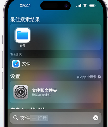 福安apple维修中心分享iPhone文件应用中存储和找到下载文件 