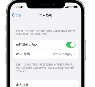 福安apple服务站点分享iPhone上个人热点丢失了怎么办 