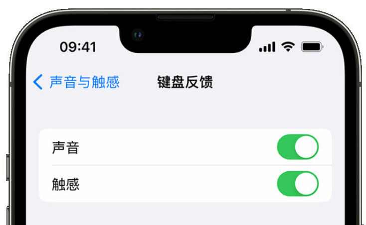 福安苹果手机维修分享iPhone 14触感键盘使用方法 