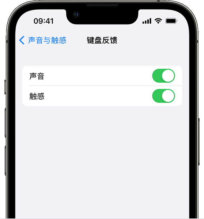 福安苹果14维修店分享如何在 iPhone 14 机型中使用触感键盘 