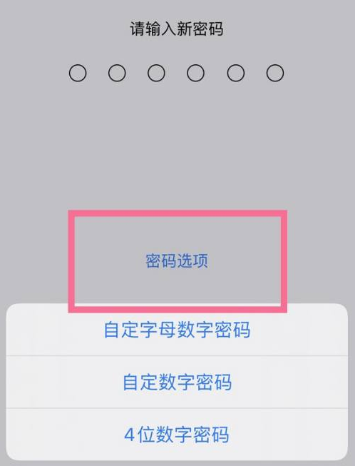 福安苹果14维修分享iPhone 14plus设置密码的方法 