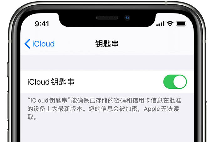 福安苹果手机维修分享在 iPhone 上开启 iCloud 钥匙串之后会储存哪些信息 